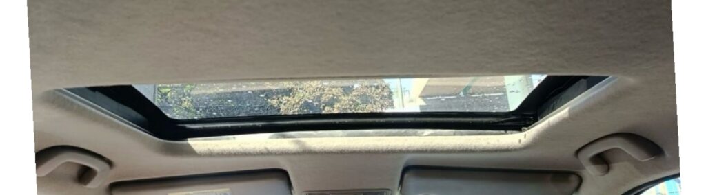 Honda Elevate (Demo Car)